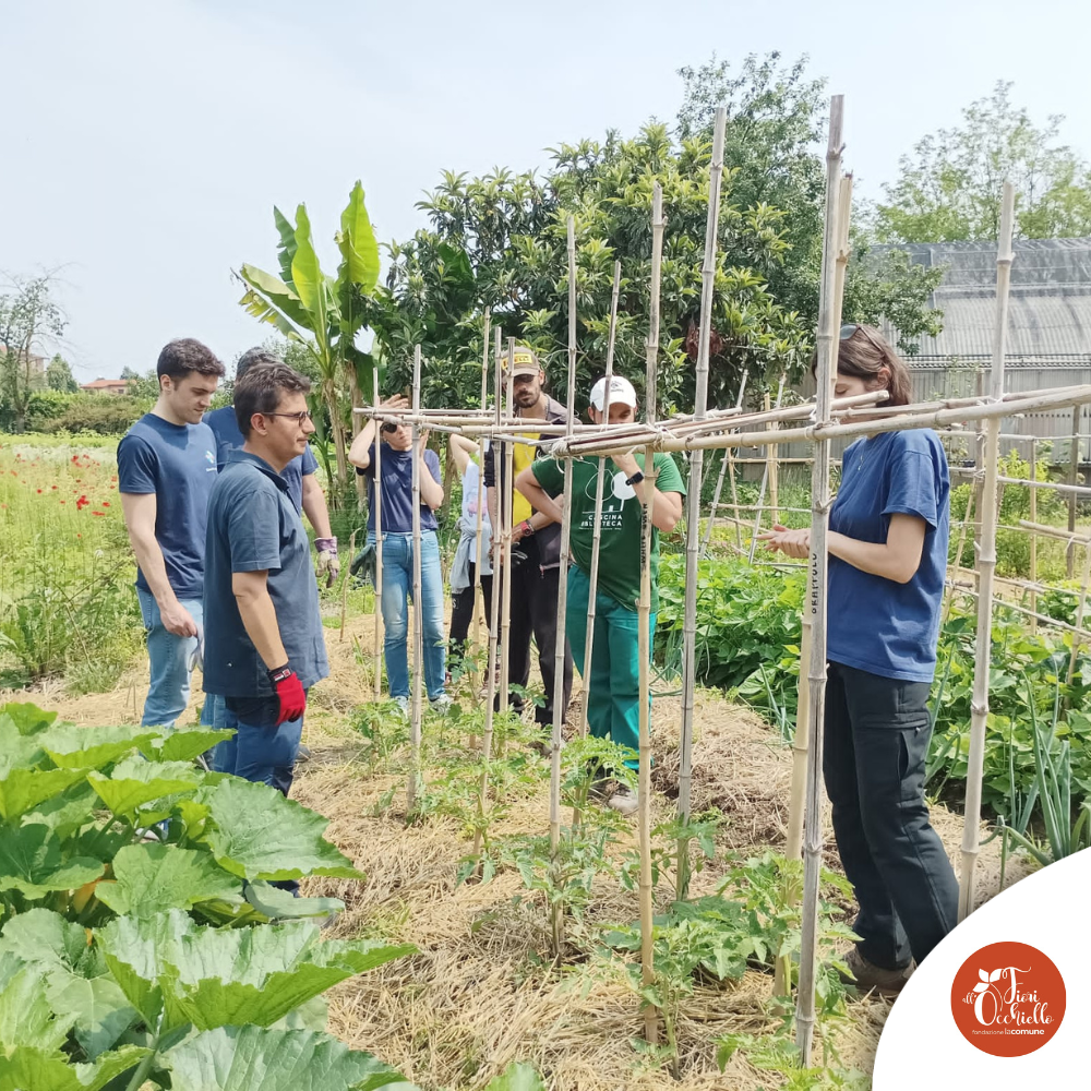 Fiori all'Occhiello - Team Building e volontariato aziendale