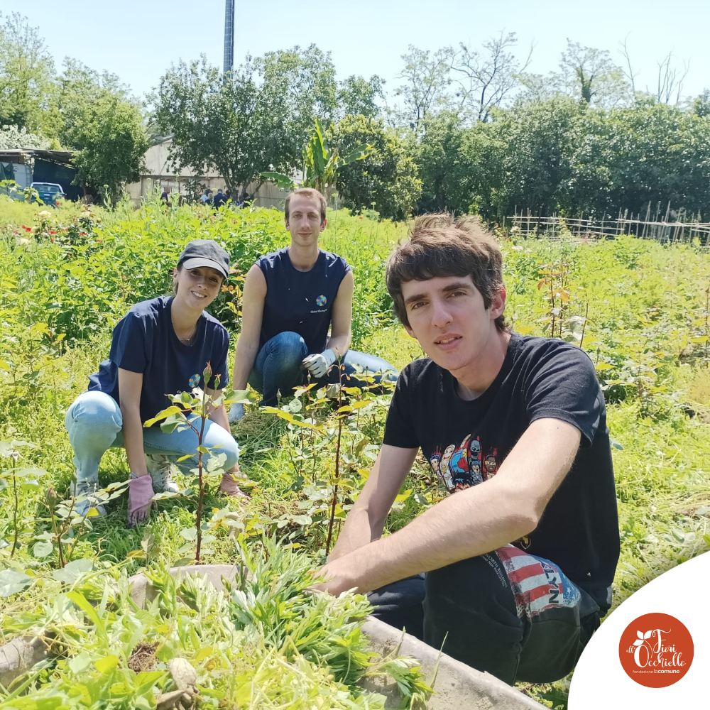 Fiori all'Occhiello - Team Building e volontariato aziendale